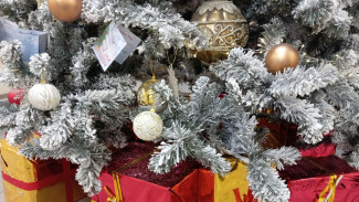 В Самаре хотят запретить ТОСам тратить бюджетные деньги на подарки и сувениры 