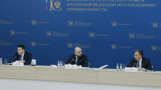Развитие отрасли БПЛА и химии обсудили на комиссии Госсовета по промышленности с Вячеславом Федорищевым и Антоном Алихановым