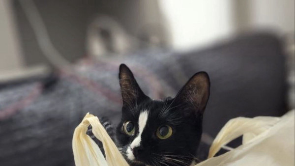 Гороскоп на 26 сентября: день опасных ситуаций для 3 знаков