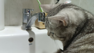 В Самаре дома на 20 улицах временно останутся без холодной воды 27 августа