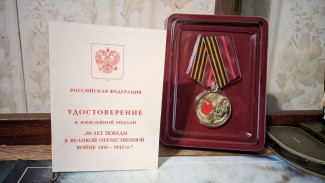 Глава Самары Иван Носков вручил юбилейную медаль жителю Ленинского района Джемсу Чибисову 