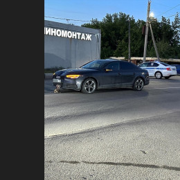 Под Самарой водитель Audi A4 насмерть сбил пенсионерку на переходе