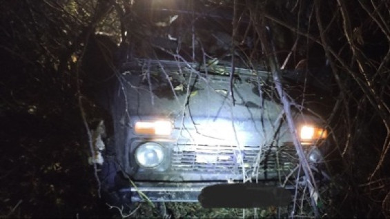 «Нива» с лосями: в Шенталинском районе задержаны браконьеры