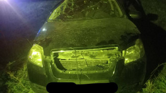 В ночном ДТП в Шигонском районе есть жертва