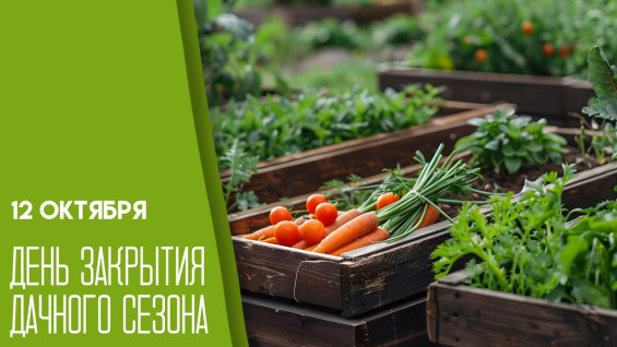 12 октября — День закрытия дачного сезона: эксклюзивные открытки!