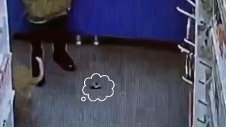 "Одна нагадила - другая размазала": самарцы возмутились поведением хозяйки собаки в аптеке