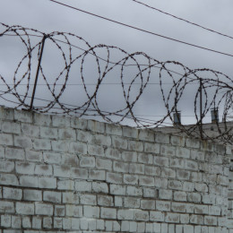 В Самарской области судимые иностранцы не смогут получить российское гражданство