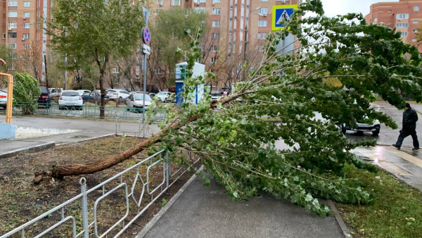 В Самаре МЧС разослало срочное предупреждение об опасности 2 мая