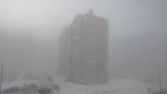 Вместе с белой пеленой в Самарскую область 11 февраля пришла нежданная опасность