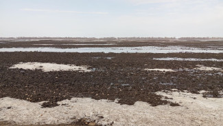 В Самарской области чиновники раздали льготникам чужую землю 