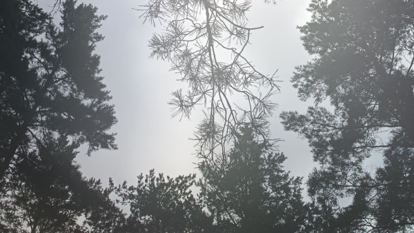 На Самарскую область 21 июля обрушатся грозы