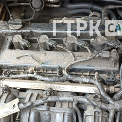 В Самаре автовладельцы жалуются на нашествие крыс у Кировского рынка