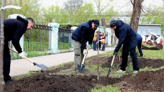 В Самаре усилят контроль за порядком у медучреждений после субботника