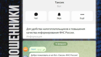 Самарцев предупредили о новом опасном боте в телеграм 