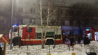 МЧС рассказало, кто погиб в пожаре на ул. Нагорной в Самаре