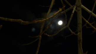 Самарскую область начала накрывать магнитная буря 5 февраля