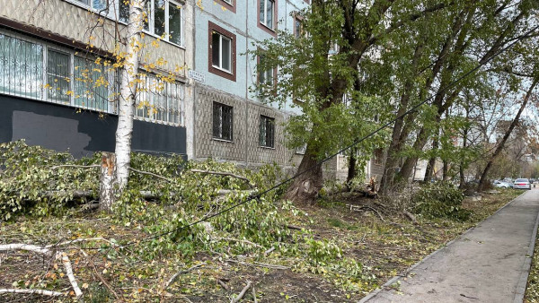 Самарцев предупредили об ухудшении погоды 24 ноября