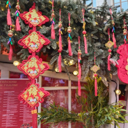 Что нельзя и можно делать в Китайский Новый Год 2026: советы на год Красной Огненной Лошади 