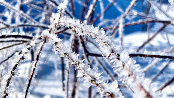 16 февраля станет сложным и опасным днем в Самарской области 