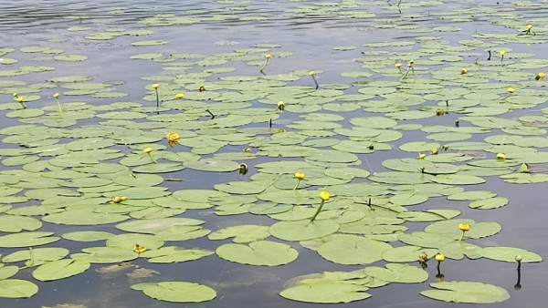 В Самаре обсудили будущее водных ресурсов области