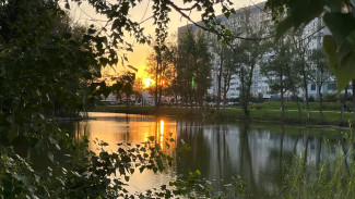 Народный календарь: 31 июля 2025. Почему в Омельянов день после заката становится очень опасно