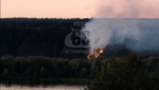 В Самарской области загорелся заповедный лес 