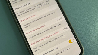 Самарцам рассказали, как сократить свой "цифровой след" в интернете