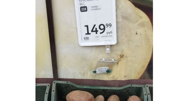 В Самаре картошка резко подорожала до 150 рублей