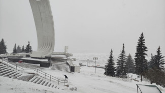 В Самарской области на 29 января объявили штормовое предупреждение из-за сильного ветра