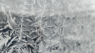 На Самарскую область наступают опасный ветер, метель и морозы