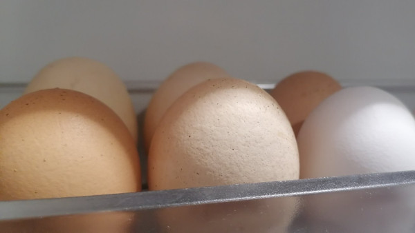 Под сотню и выше: в самарских магазинах растут цены на яйца