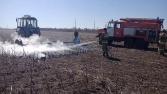 В Самарской области поймали первого нарушителя противопожарного режима