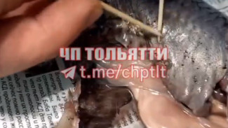 Житель Самарской области вскрыл селедку и ужаснулся