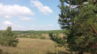 Самарцам показали на карте, где участникам СВО бесплатно предоставят землю