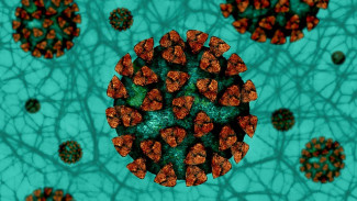 Где в Самарской области 461 человек заразились коронавирусом 31 июля 2021 года
