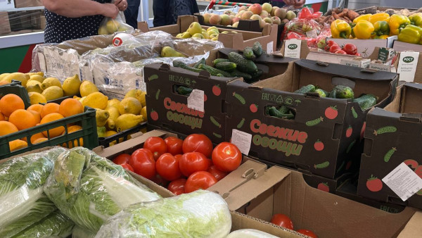 Самарцам рассказали, насколько за год снизились цены на огурцы и томаты