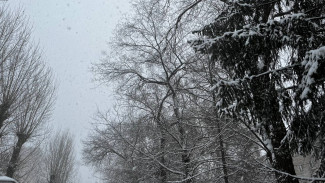 Стало известно, когда на Самару обрушатся первые снегопады
