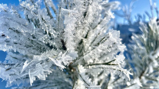 Народные приметы: 20 февраля. Не делайте этого в день Луки и Могущницы, если не хотите лишиться главного