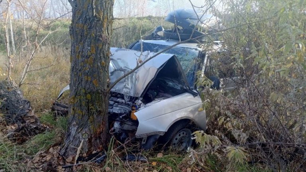 На трассе Тольятти – Ташелка Lada Priora улетела в кювет и врезалась в дерево 29 октября