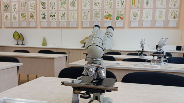 Многодетные семьи Самарской области получат 216 миллионов рублей на компенсацию за обучение