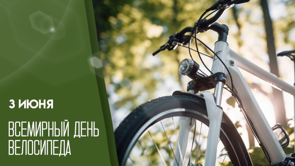 Всемирный день велосипеда 3 июня: традиции, яркие открытки и физкульт-приветы