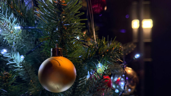 Самарцев предупредили о фейковых сайтах с билетами на Новогодние елки