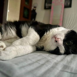 Врач В.Литвинов рассказали самарцам, как недостаток сна может привести к диабету и ожирению