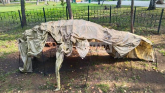 В парке Гагарина появилась странная конструкция на месте погибшего 300-летнего дуба
