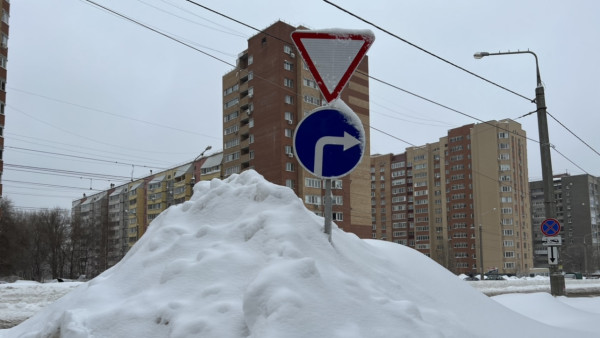 В Самарской области усилена работа ГЖИ по жалобам граждан на снегоуборку 