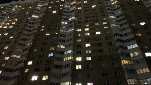 В Октябрьском районе Самары ввели временный карантин по бешенству