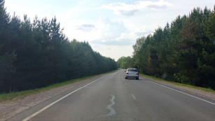 Полиция рассказала, кто сгорел в LADA Granta в лобовом ДТП с грузовым ГАЗом под Самарой