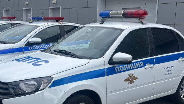 В Самаре полиция задержала 21-летнего водителя за дерзкую езду по тротуару в парке Гагарина