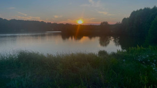 Под Оренбургом нашли останки самого разыскиваемого маньяка в России