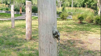 Жители Самары пожаловались на вандалов в парке "Молодежный"